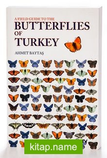 A Field Guide to the Butterflies of Turkey