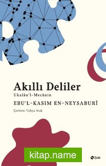 Akıllı Deliler Kitabı