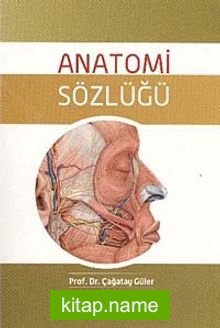 Anatomi Sözlüğü