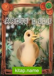 Ardıç Dede