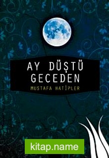 Ay Düştü Geceden
