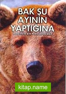 Bak Şu Ayının Yaptığına