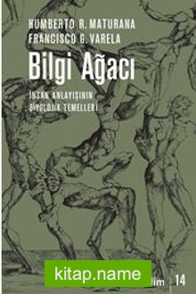 Bilgi Ağacı  İnsan Anlayışının Biyolojik Temelleri