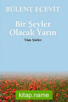 Bir Şeyler Olacak Yarın (Tüm Şiirler)