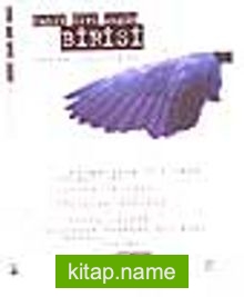 Birisi / Bütün Şiirleri