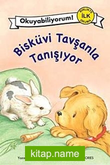 Bisküvi Tavşanla Tanışıyor