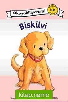 Bisküvi