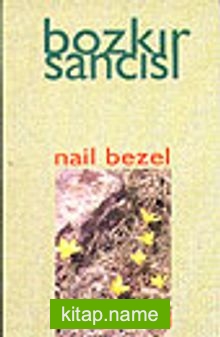 Bozkır Sancısı