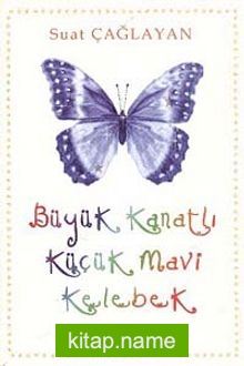 Büyük Kanatlı Küçük Mavi Kelebek