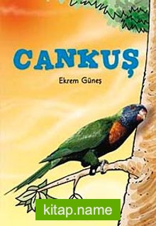 Cankuş