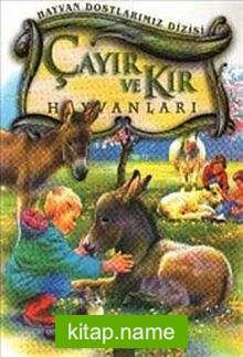 Çayır ve Kır Hayvanları / Hayvan Dostlarımız Dizisi