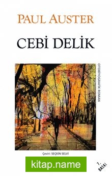 Cebi Delik