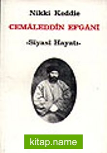 Cemaleddin Efgani/Siyasi Hayatı