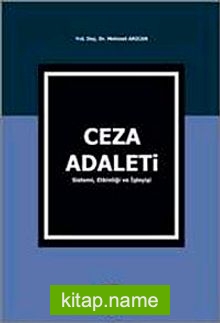 Ceza Adaleti Sistemi, Etkinliği ve İşleyişi