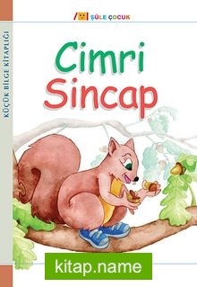 Cimri Sincap