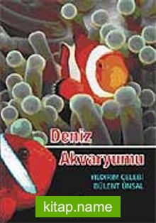 Deniz Akvaryumu