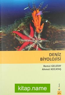 Deniz Biyolojisi
