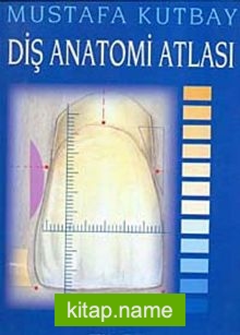 Diş Anatomi Atlası