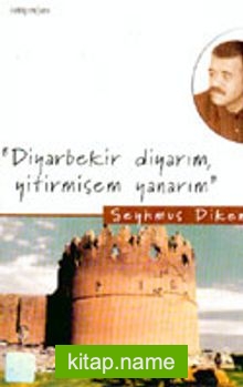 Diyarbekir Diyarım, Yitirmişem Yanarım