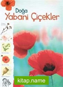 Doğa-Yabani Çiçekler