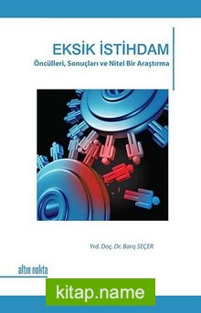 Eksik İstihdam Öncülleri, Sonuçları ve Nitel Bir Araştırma