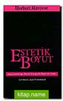 Estetik Boyut