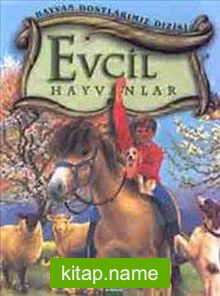 Evcil Hayvanlar (Ciltli) / Hayvan Dostlarımız Dizisi