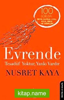 Evrende Tesadüf Yoktur, Yankı Vardır