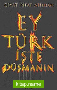 Ey Türk İşte Düşmanın