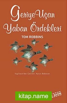 Geriye Uçan Yaban Ördekleri