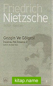 Gezgin ve Gölgesi