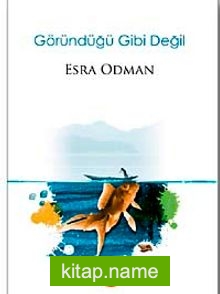 Göründüğü Gibi Değil