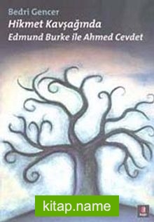 Hikmet Kavşağında Edmund Burke ile Ahmed Cevdet