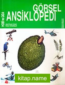 Hobi ve Gıda / Görsel Ansiklopedi