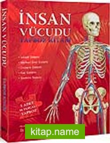 İnsan Vücudu Yapboz Kitabı
