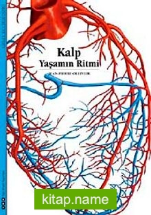 Kalp Yaşamın Ritmi