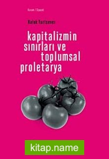 Kapitalizmin Sınırları ve Toplumsal Proletarya