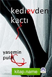 Kedi Evden Kaçtı