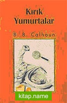 Kırık Yumurtalar