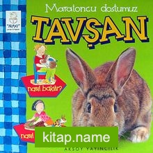 Maratoncu Dostumuz Tavşan