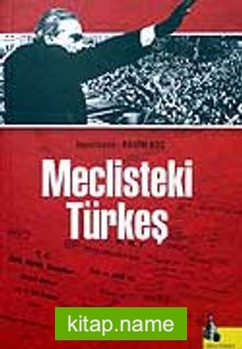 Meclisteki Türkeş