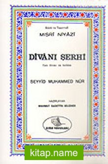 Niyazi Mısri Şerhi