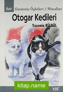 Otogar Kedileri