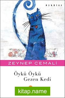 Öykü Öykü Gezen Kedi