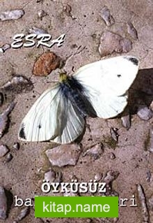 Öyküsüz Bal Çiçekleri