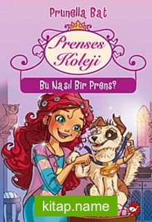 Prenses Koleji 2.Kitap / Bu Nasıl Bir Prens?