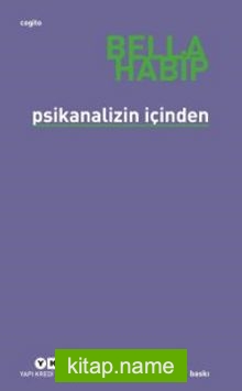 Psikanalizin İçinden