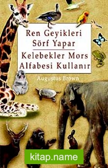 Ren Geyikleri Sörf Yapar Kelebekler Mors Alfabesi Kullanır