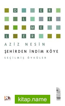 Şehirden İndim Köye / Seçilmiş Öyküler
