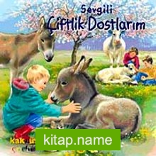 Sevgili Çiftlik Dostlarım